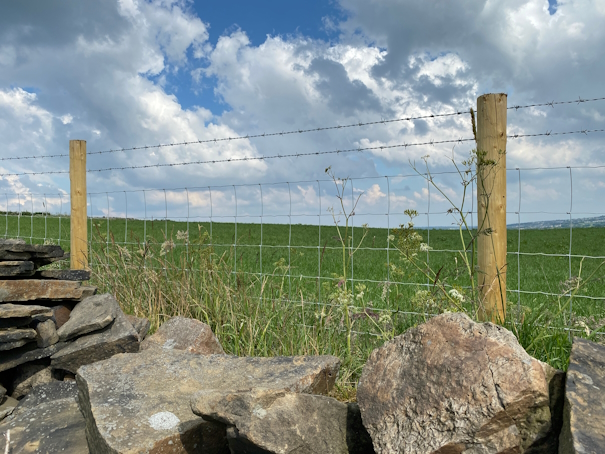 Landscape image of a barbed fencing in the countryside. 