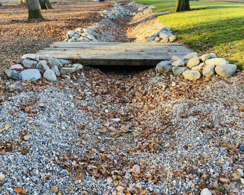 Blog 2 - 1 Timber in your garden