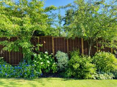 Blog - A Comprehensive Guide to Choosing Garden Fencing