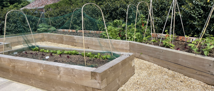 Blog - Ways You Can Use Topsoil in Your Garden