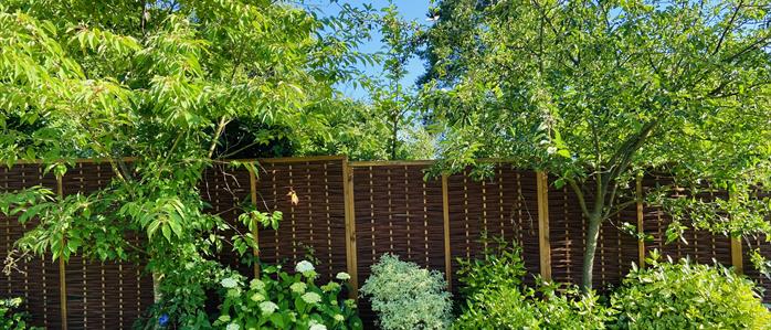 Blog - A Comprehensive Guide to Choosing Garden Fencing