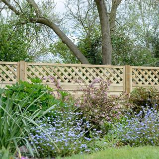 Fort Fencing - Elite Malo Panel