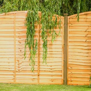 Fort Fencing - Bow Top Lap Panel