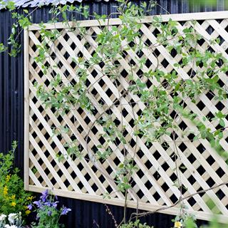Fort Fencing - Elite Square Lattice