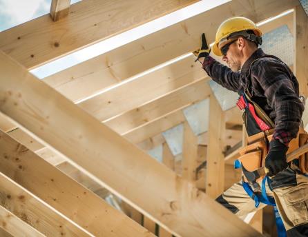 Constructional Timber: what can FORT offer?