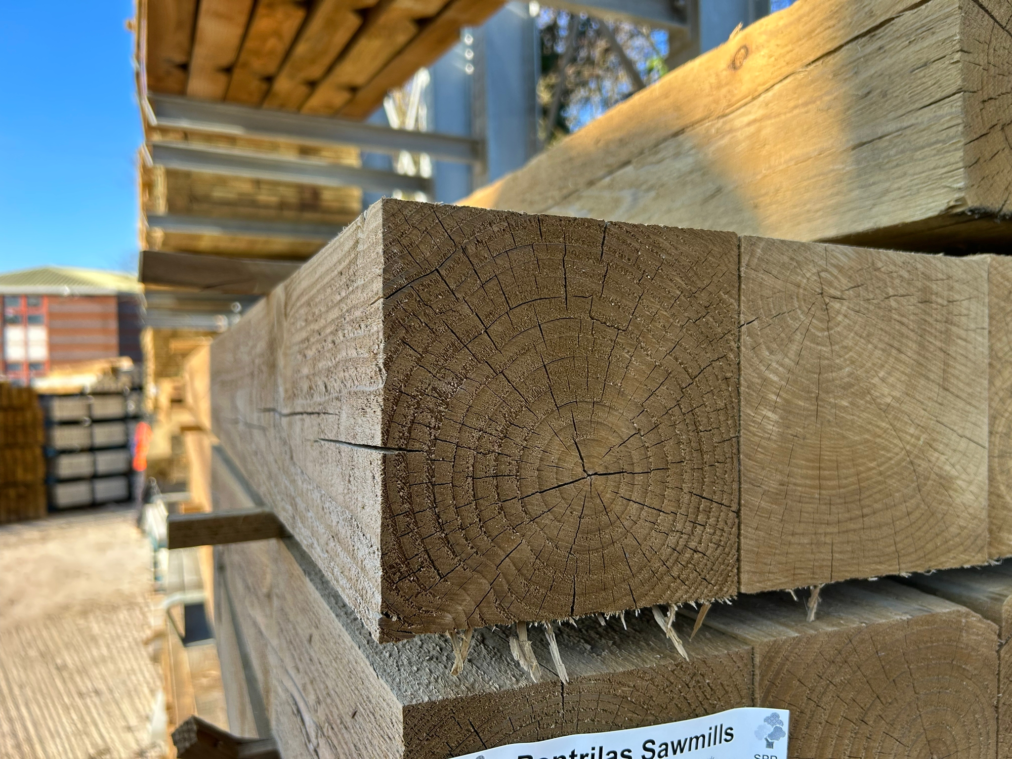 100x100mm Treated Timber (4"x4"), 4.2m - UC2 C24, Kiln Dried & Regularised