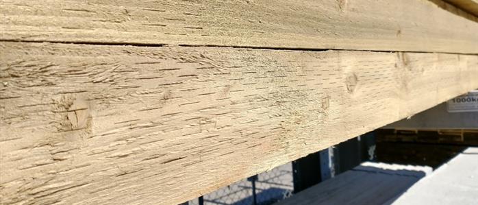 Blog - Doing it Right, Get The Best Treated Timber!